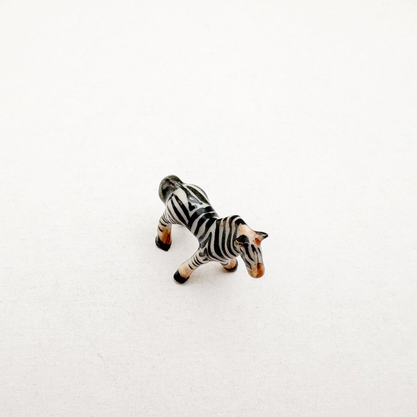 Tiny Zebra