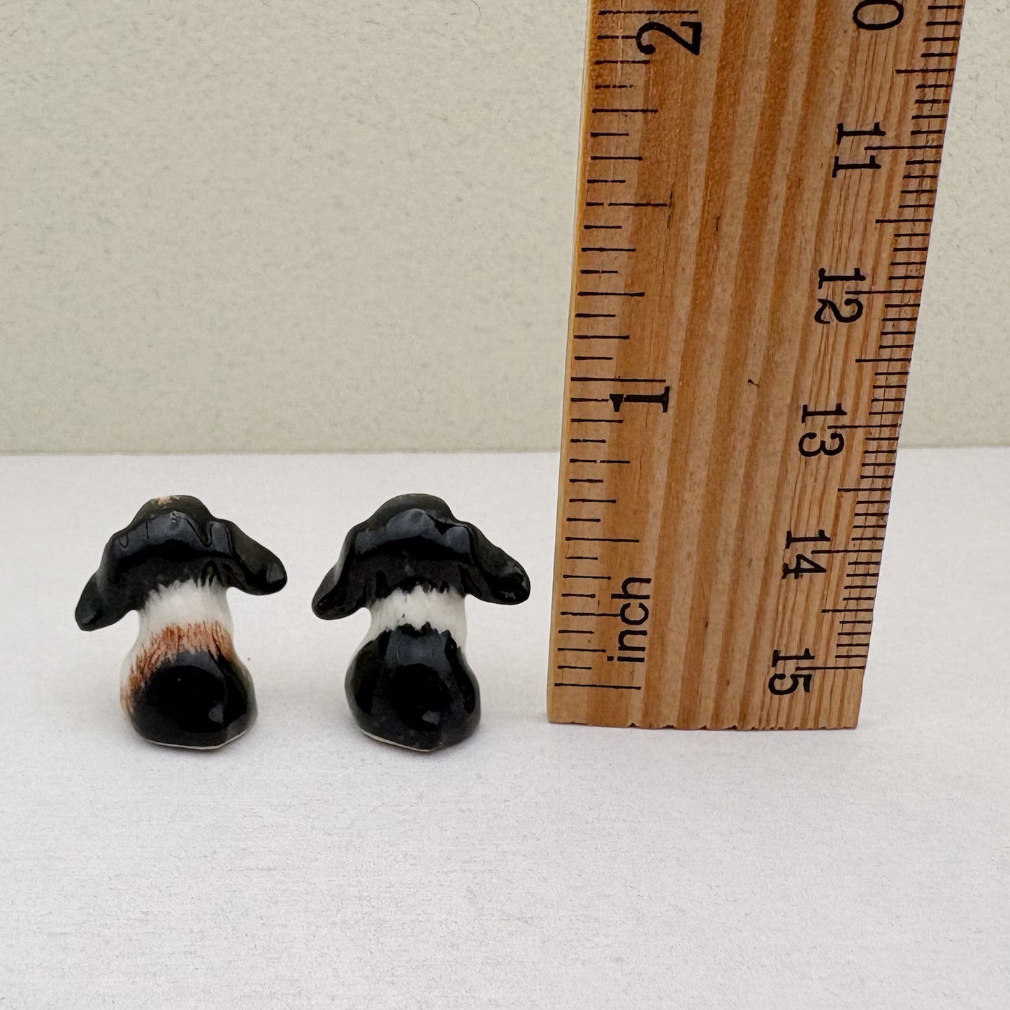 Tiny Lop-Eared Bunny