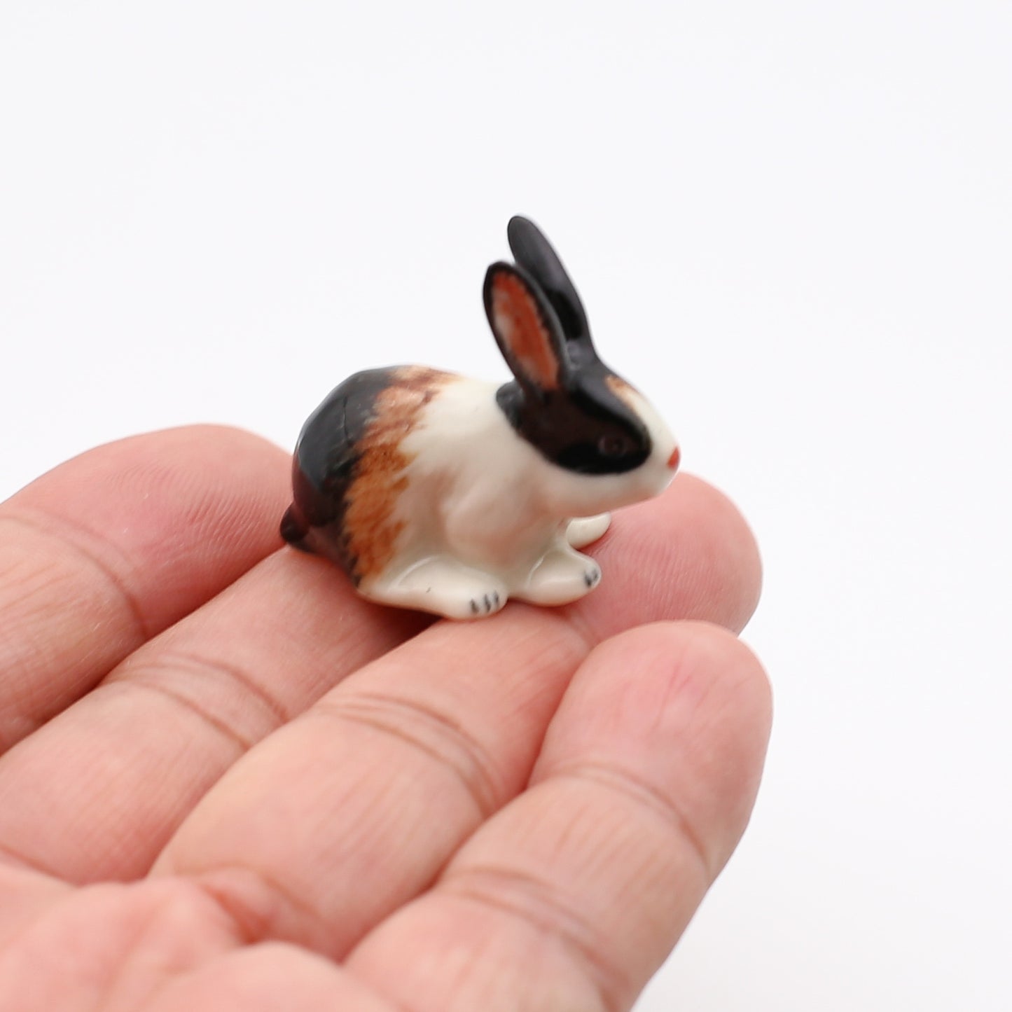 Bunny Rabbit