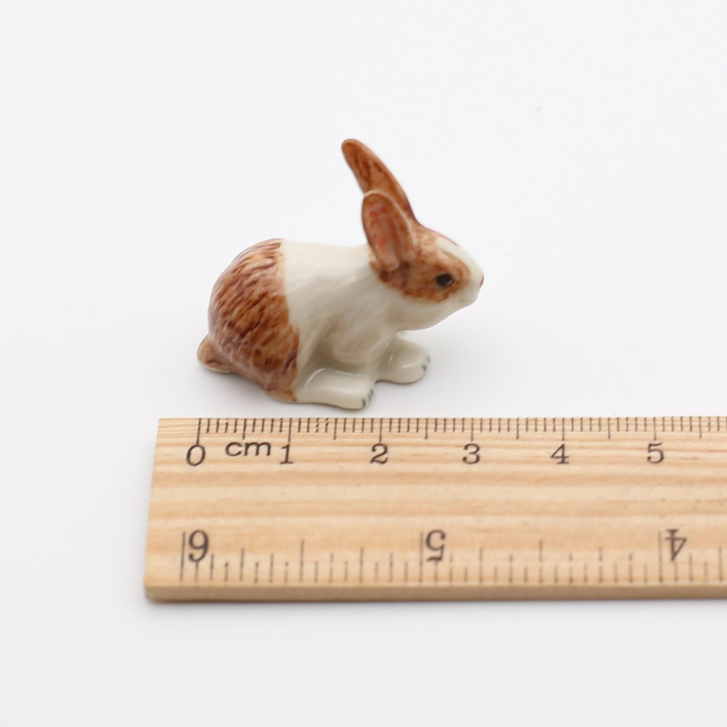 Bunny Rabbit