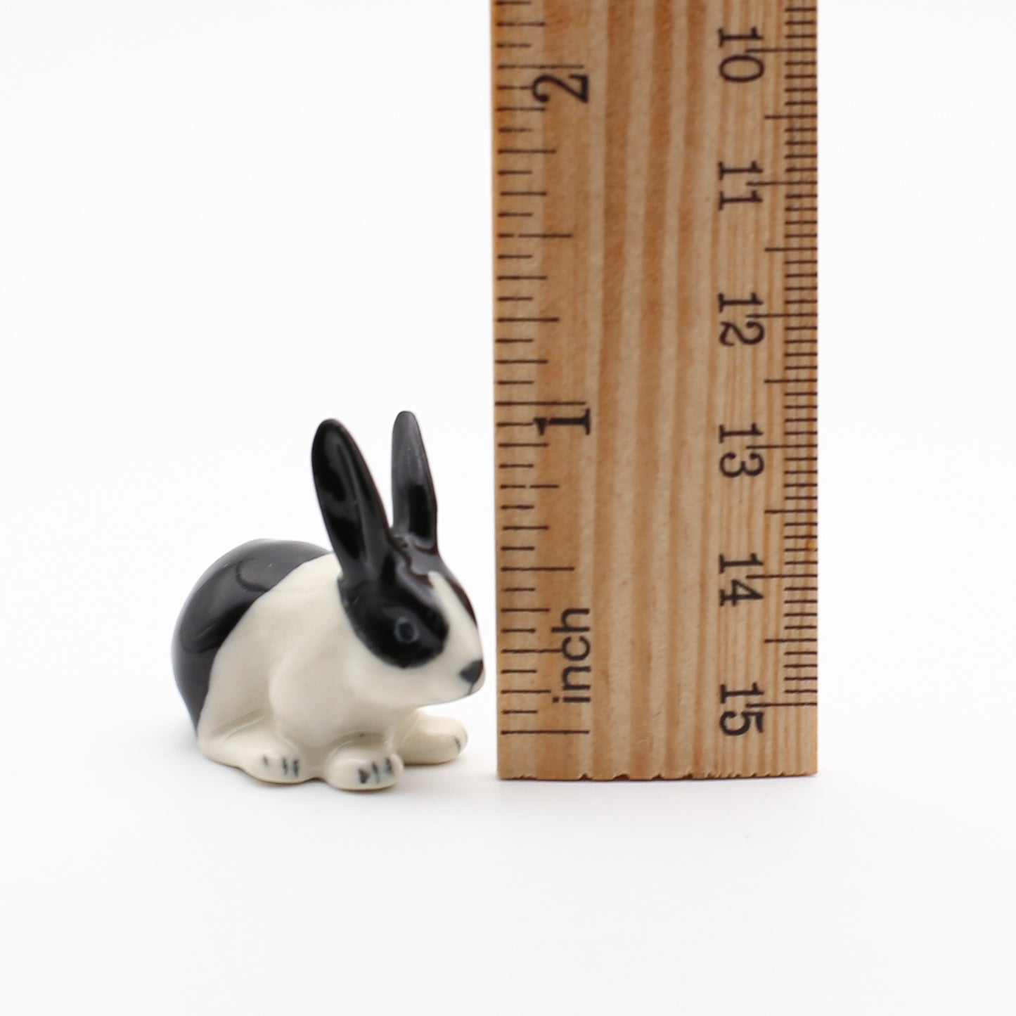 Bunny Rabbit