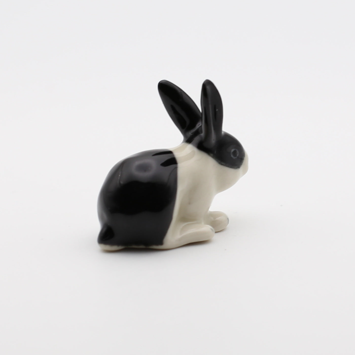 Bunny Rabbit