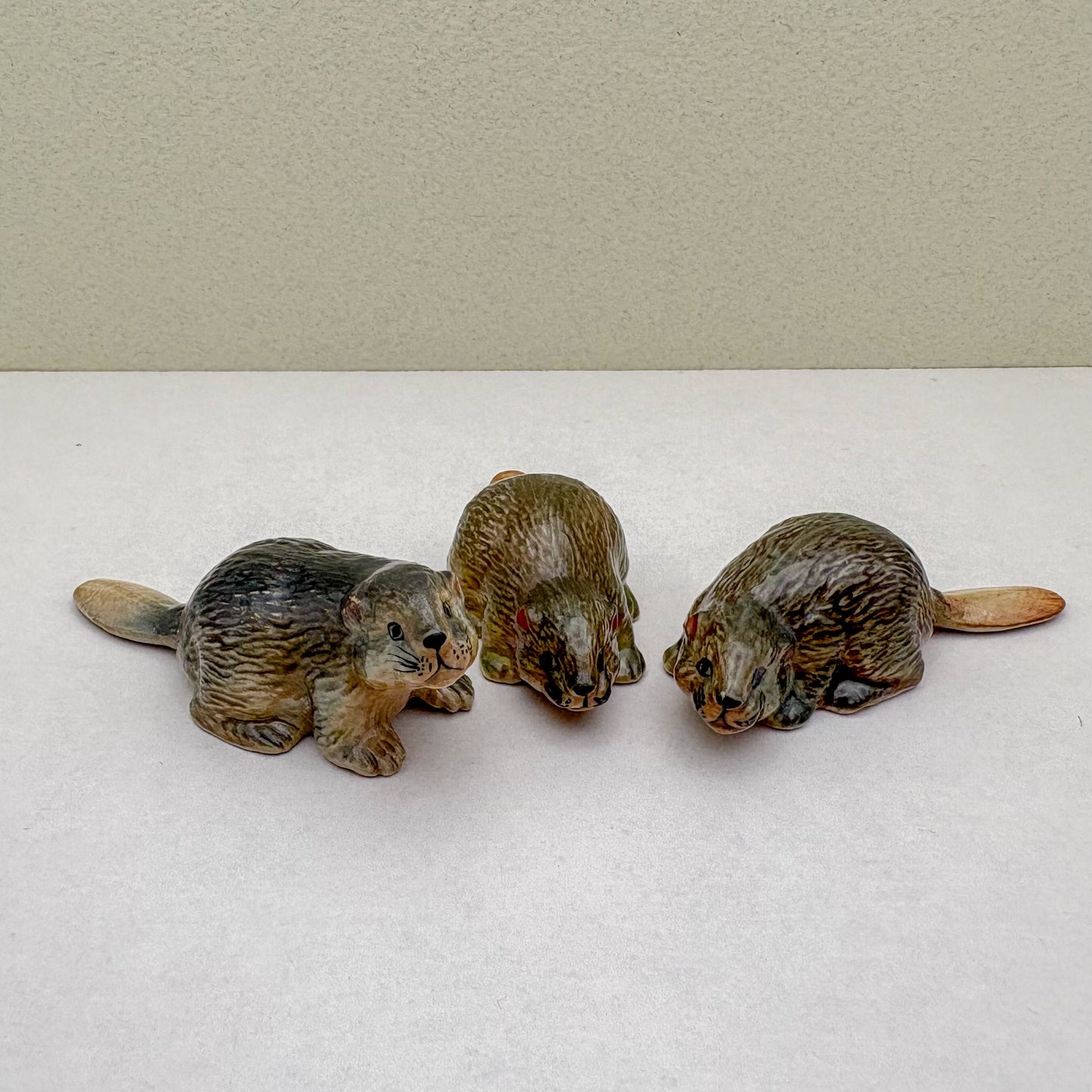 Beaver Set