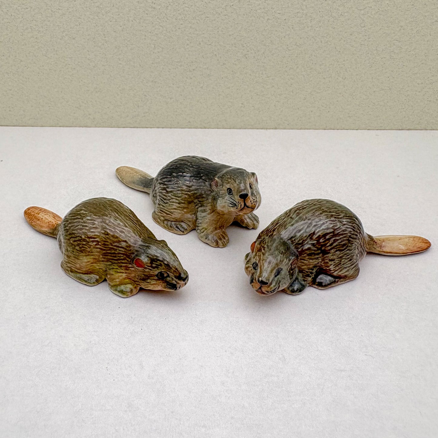 Beaver Set