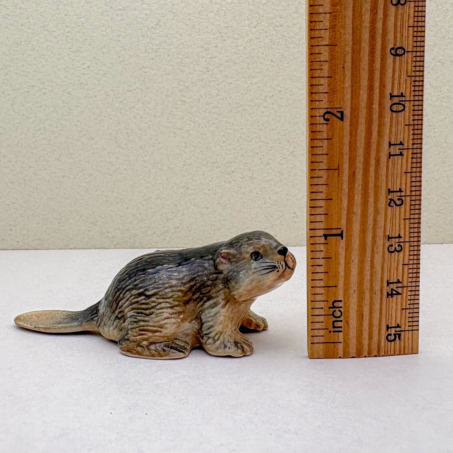 Beaver Set