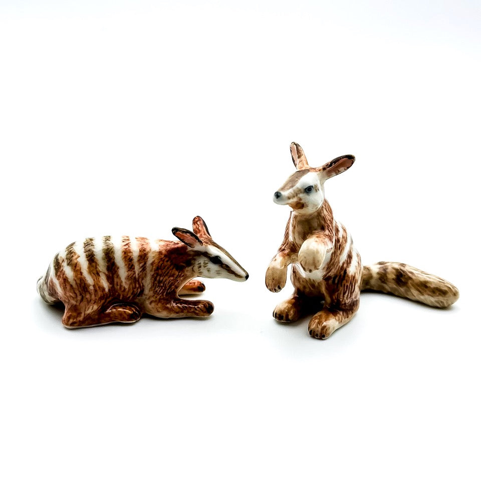 2 Numbat