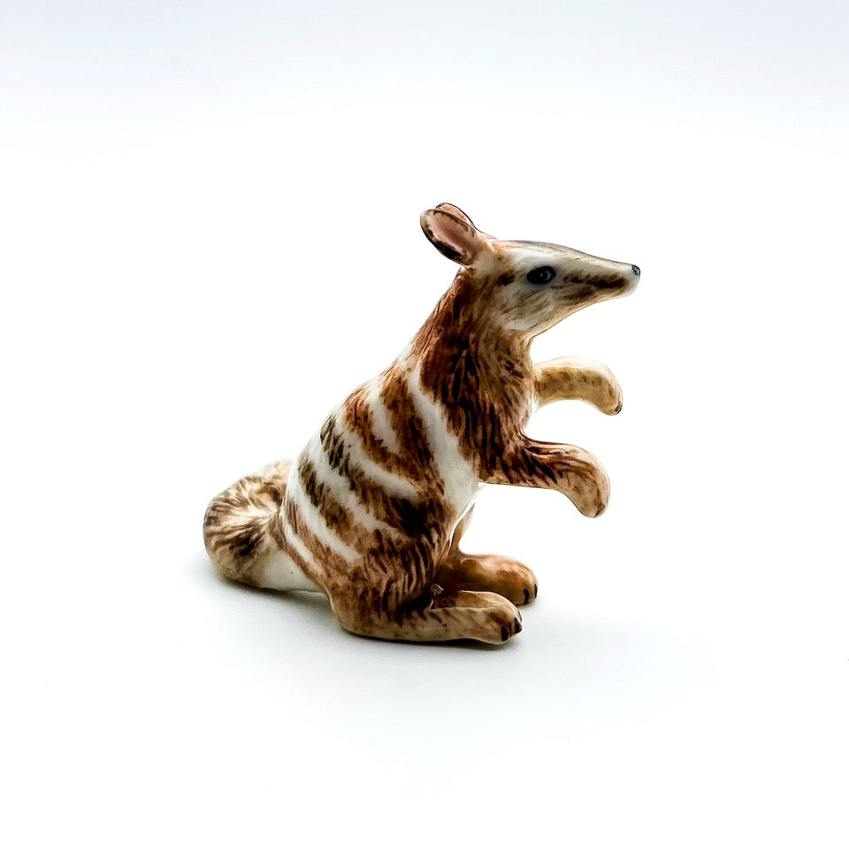 2 Numbat