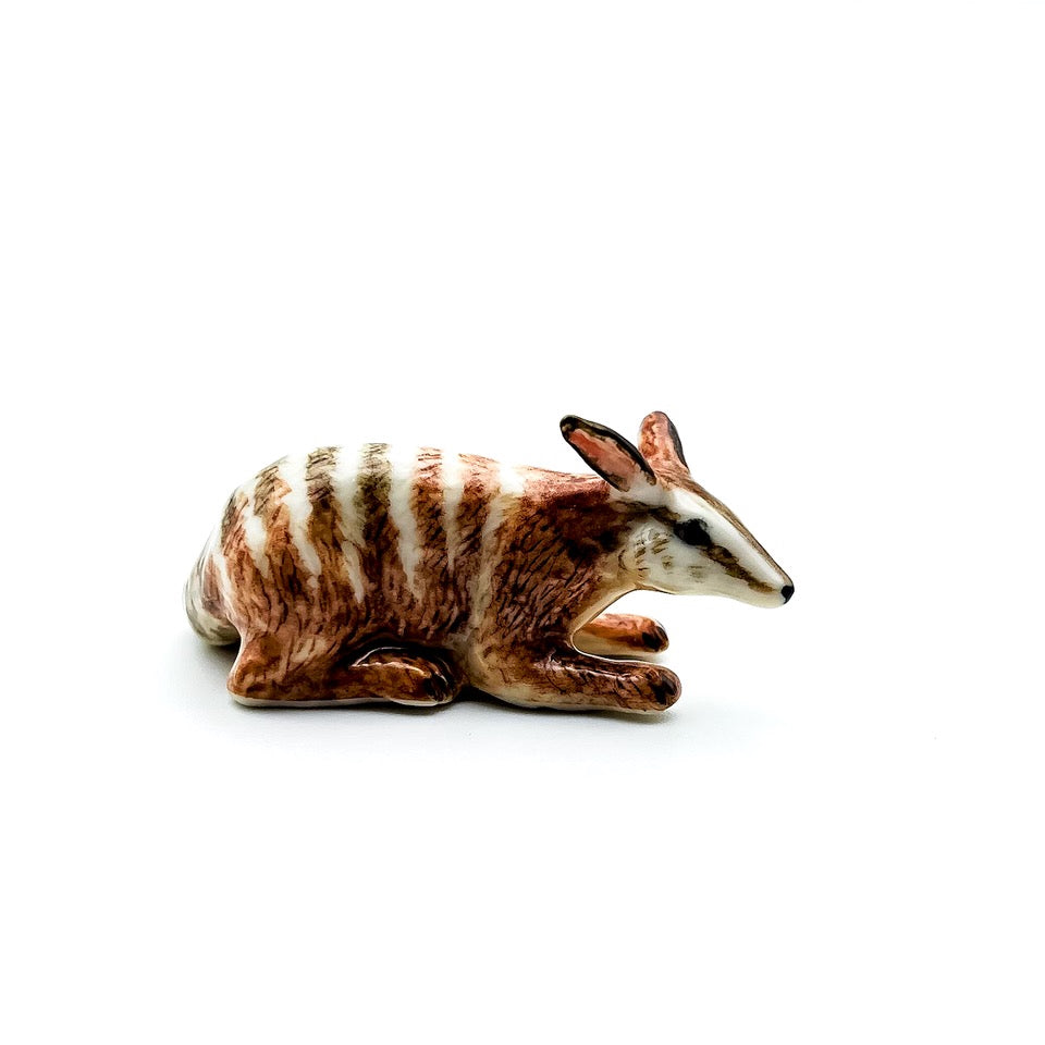 2 Numbat