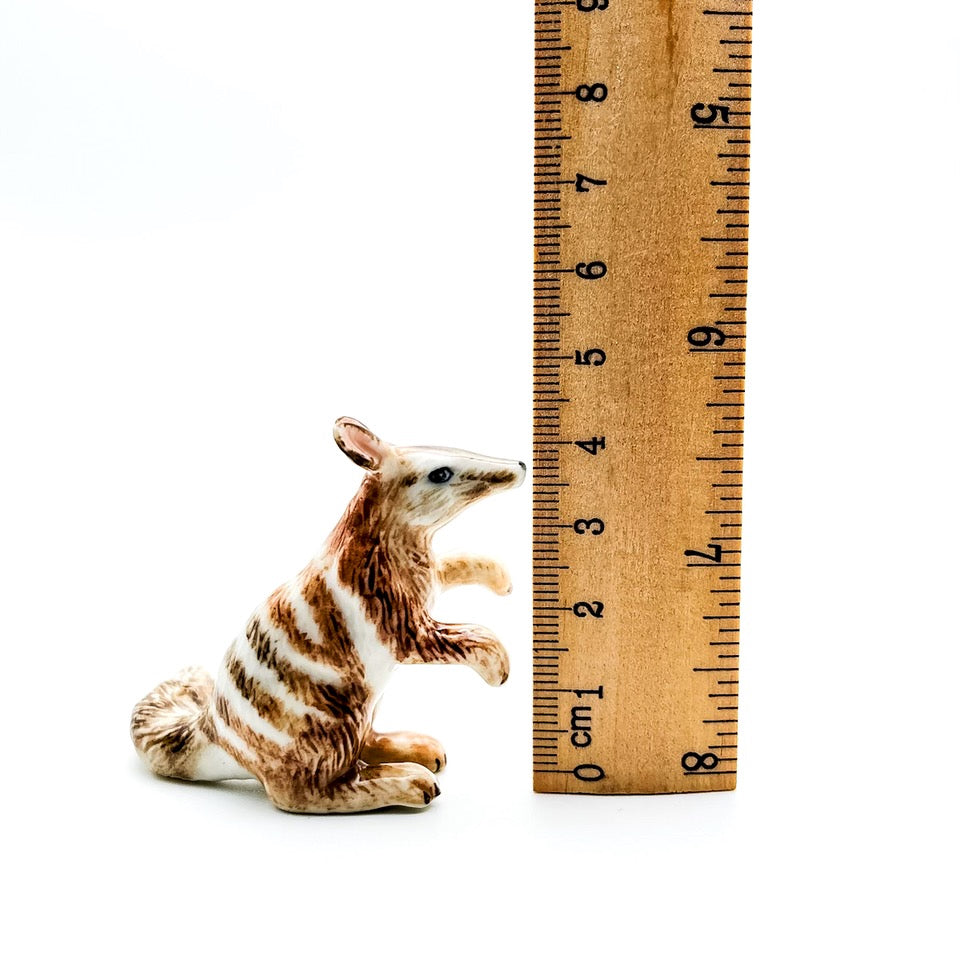 2 Numbat