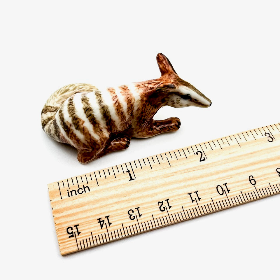 2 Numbat