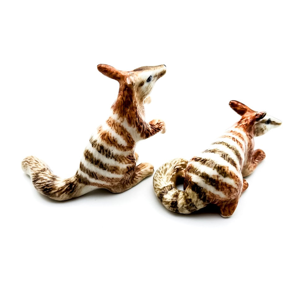 2 Numbat
