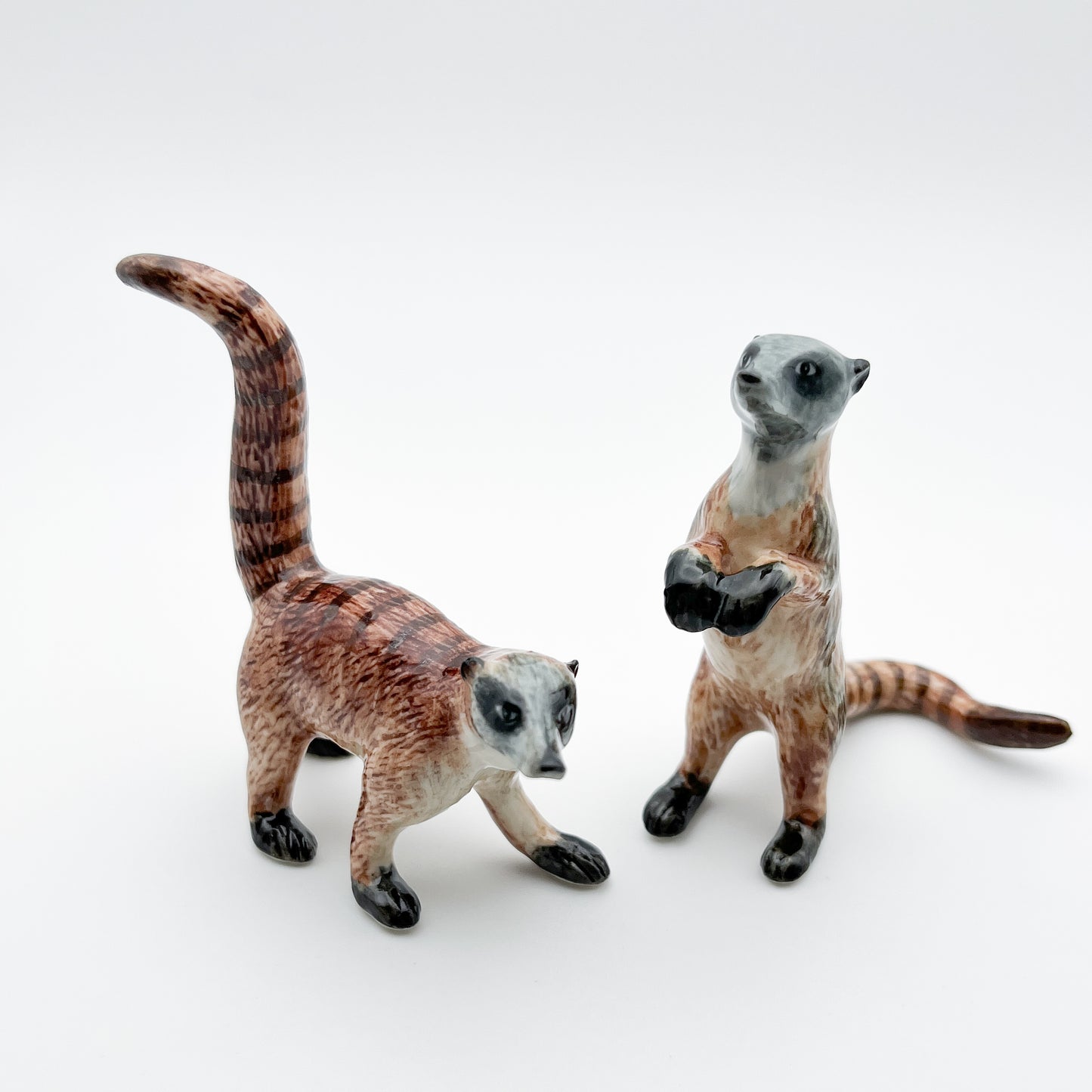 2 Coatimundi Red Raccoons