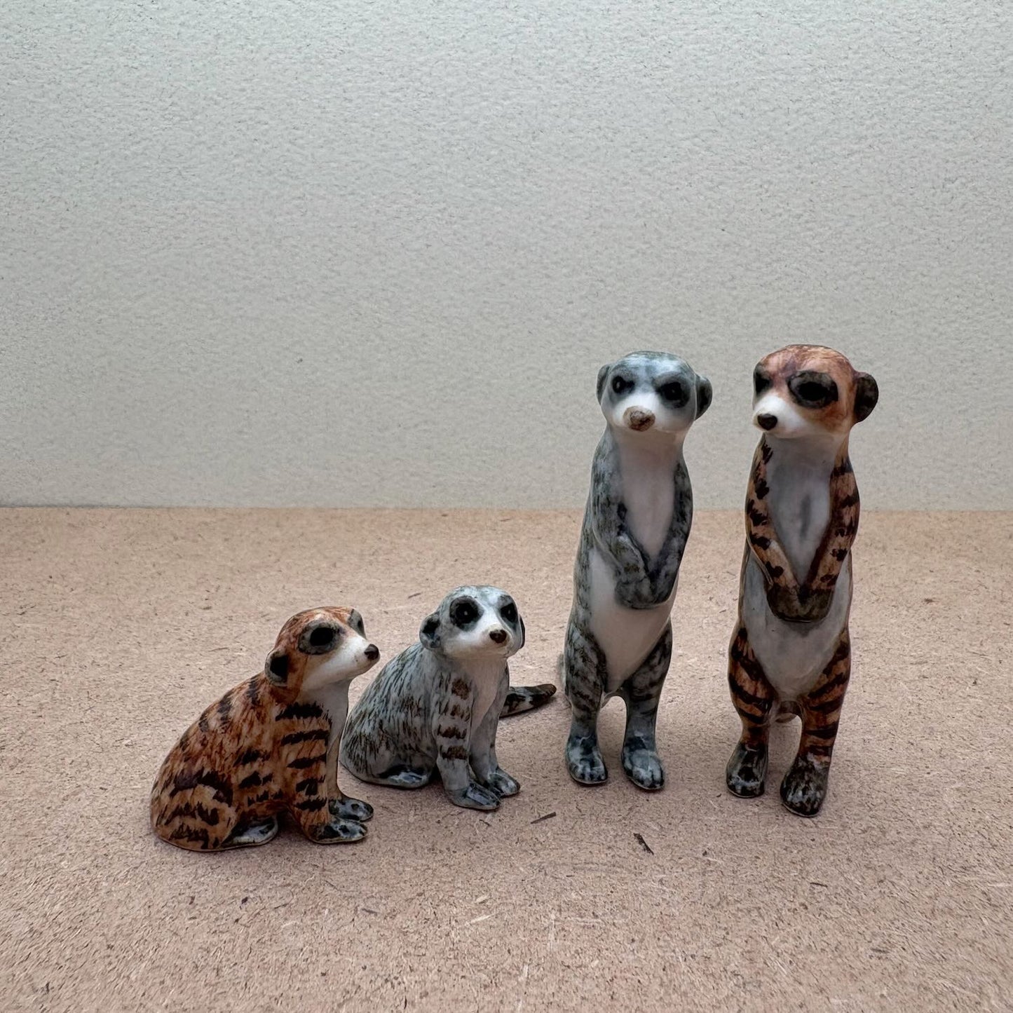 Meerkat Duo