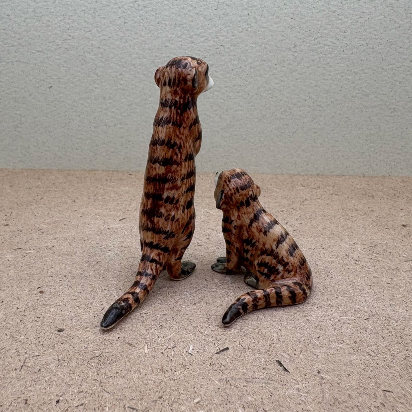 Meerkat Duo