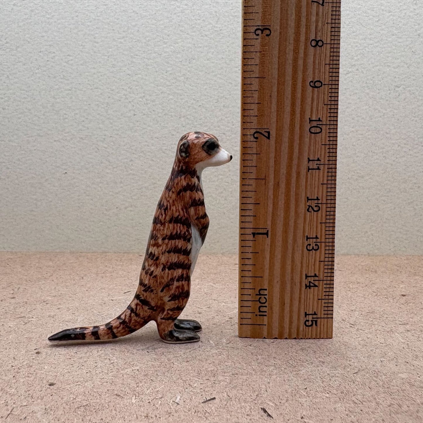Meerkat Duo