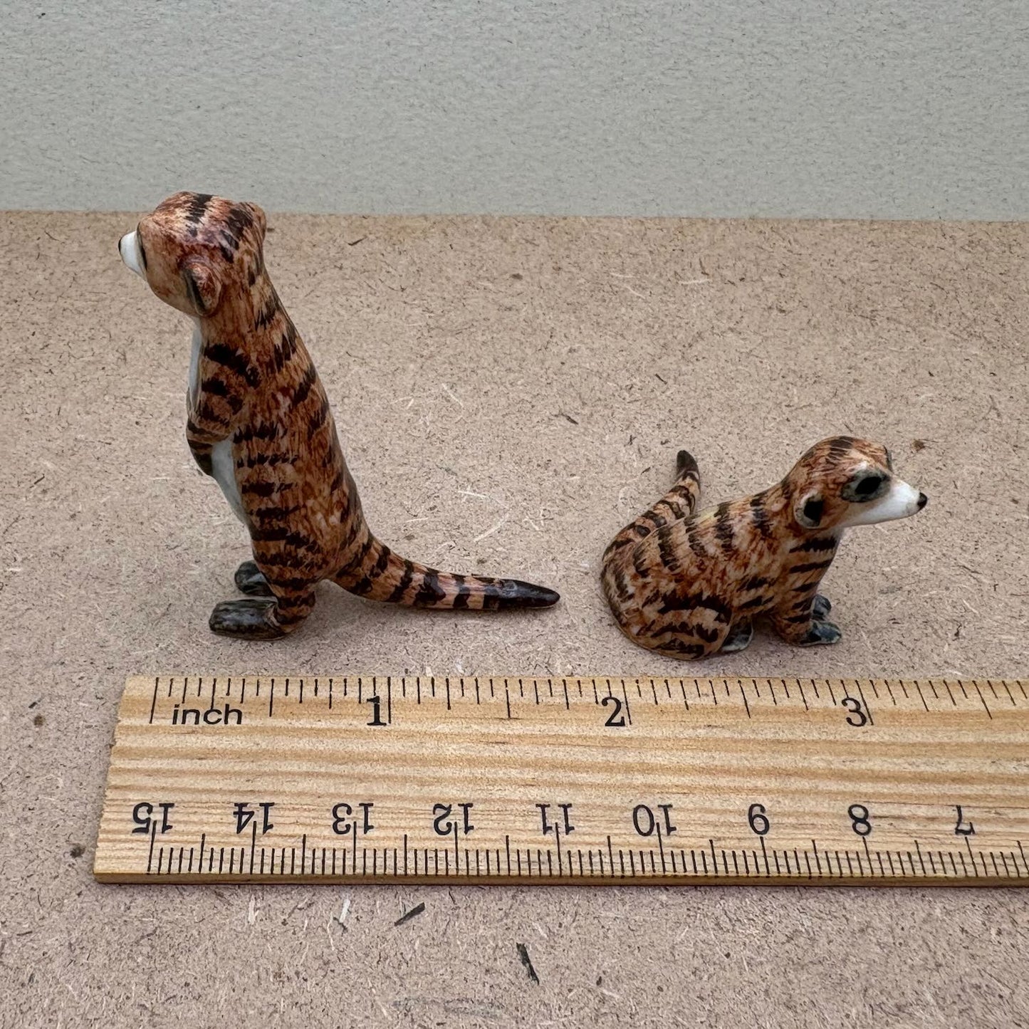 Meerkat Duo