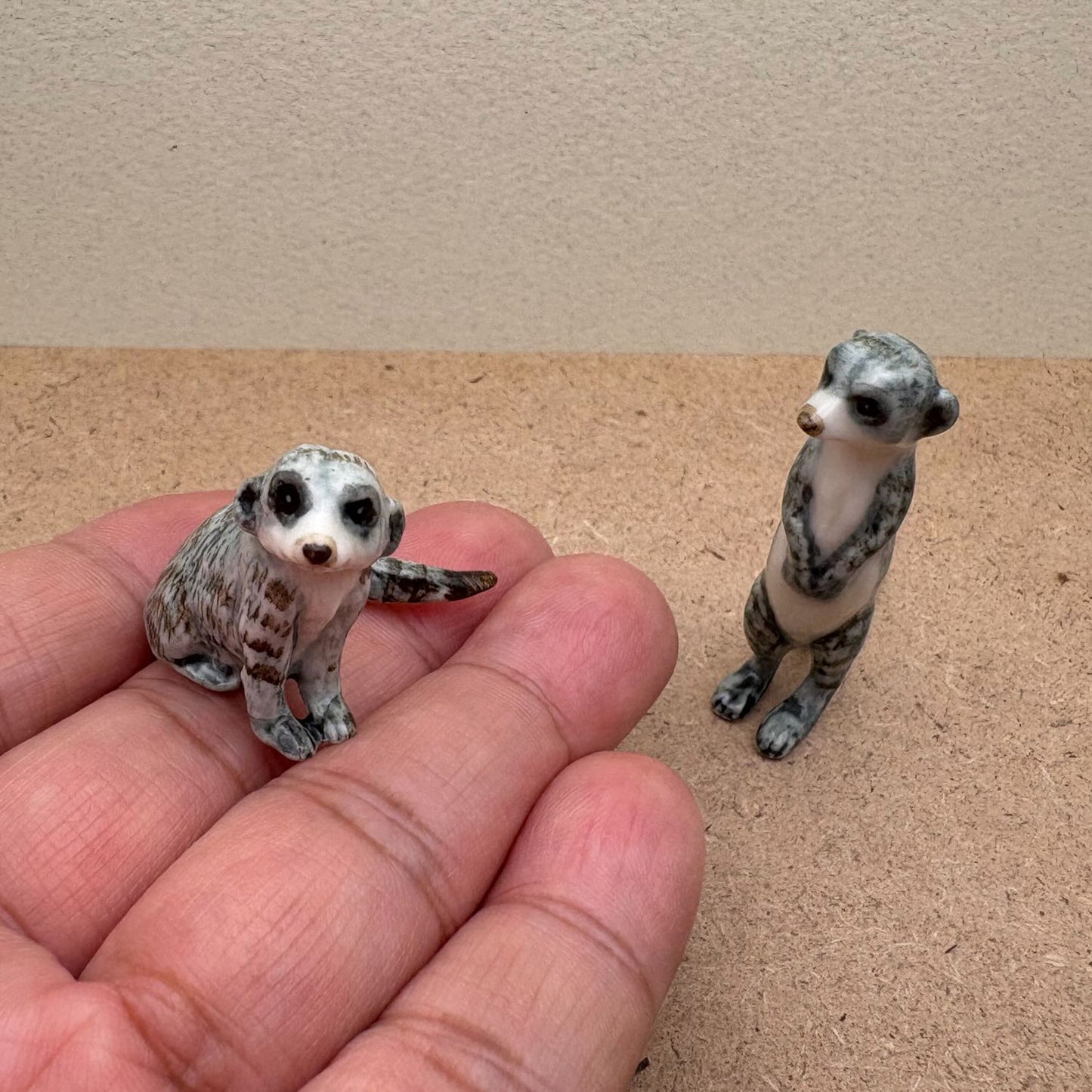Meerkat Duo