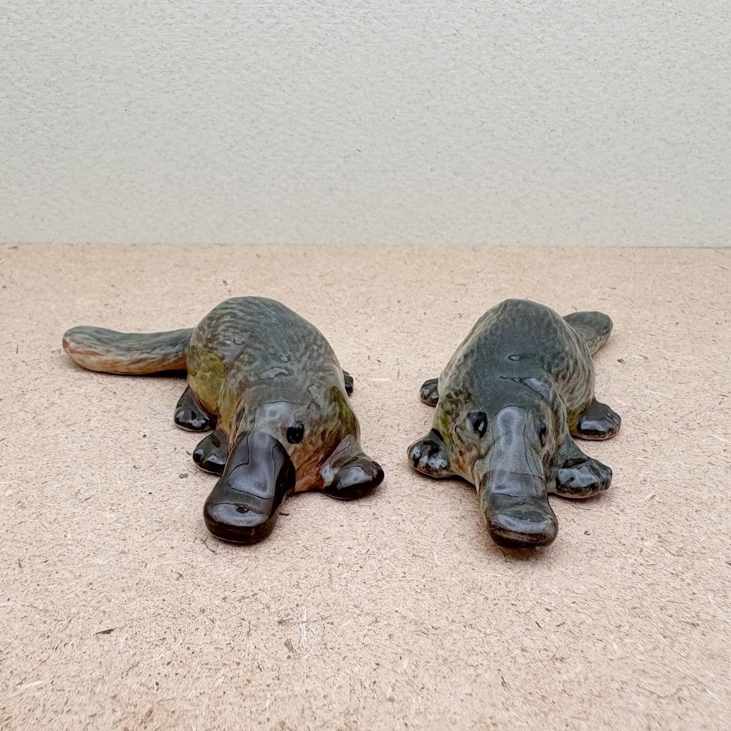 Platypus Duo