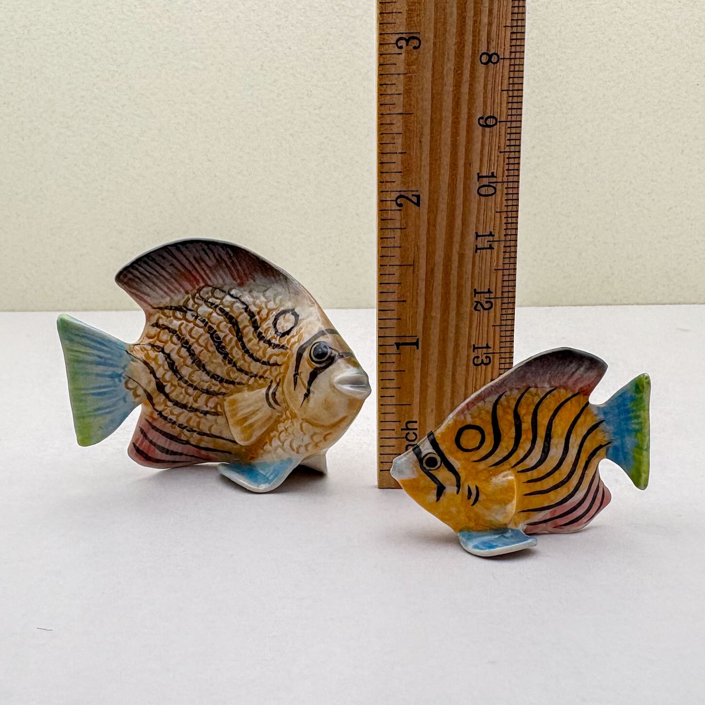Butterfly Fish Trio