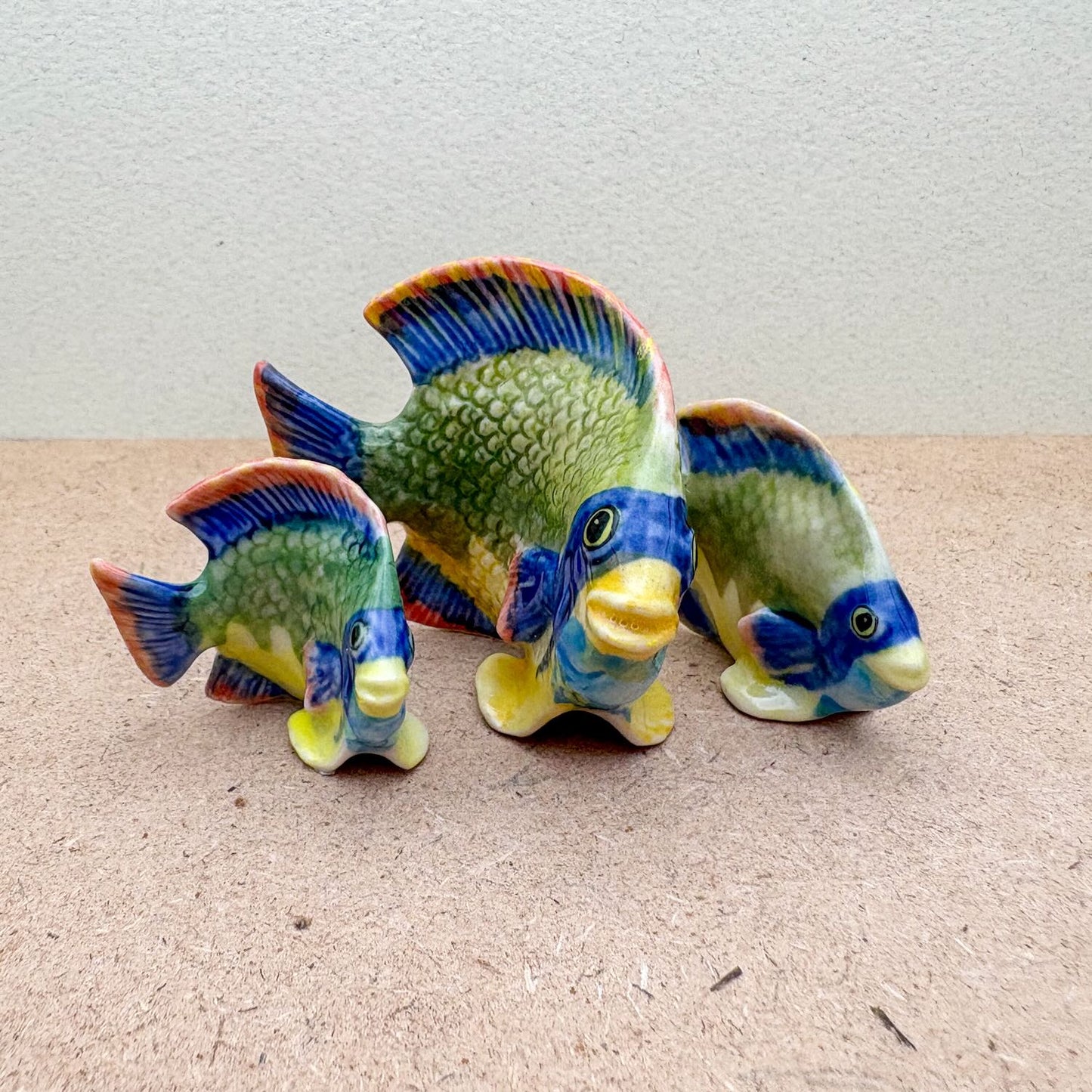Tropical Fish Set