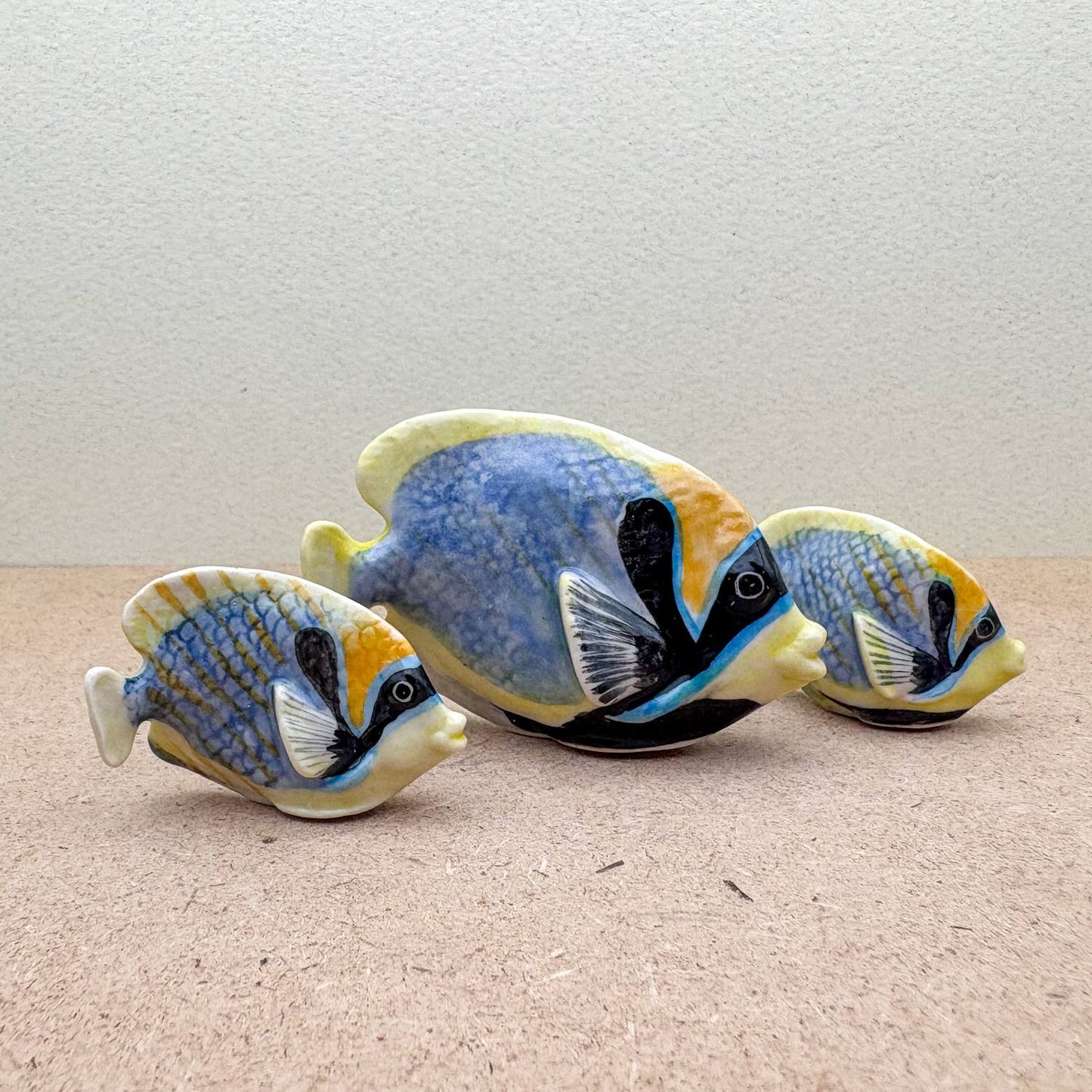 Tropical Reef Fish Set