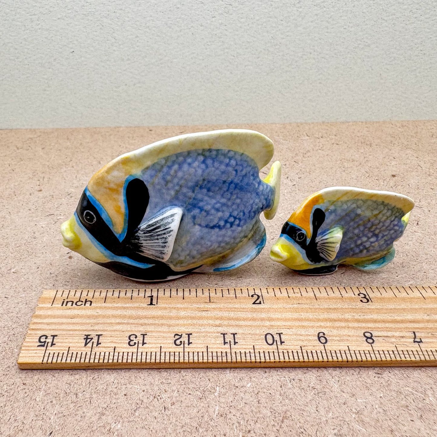 Tropical Reef Fish Set