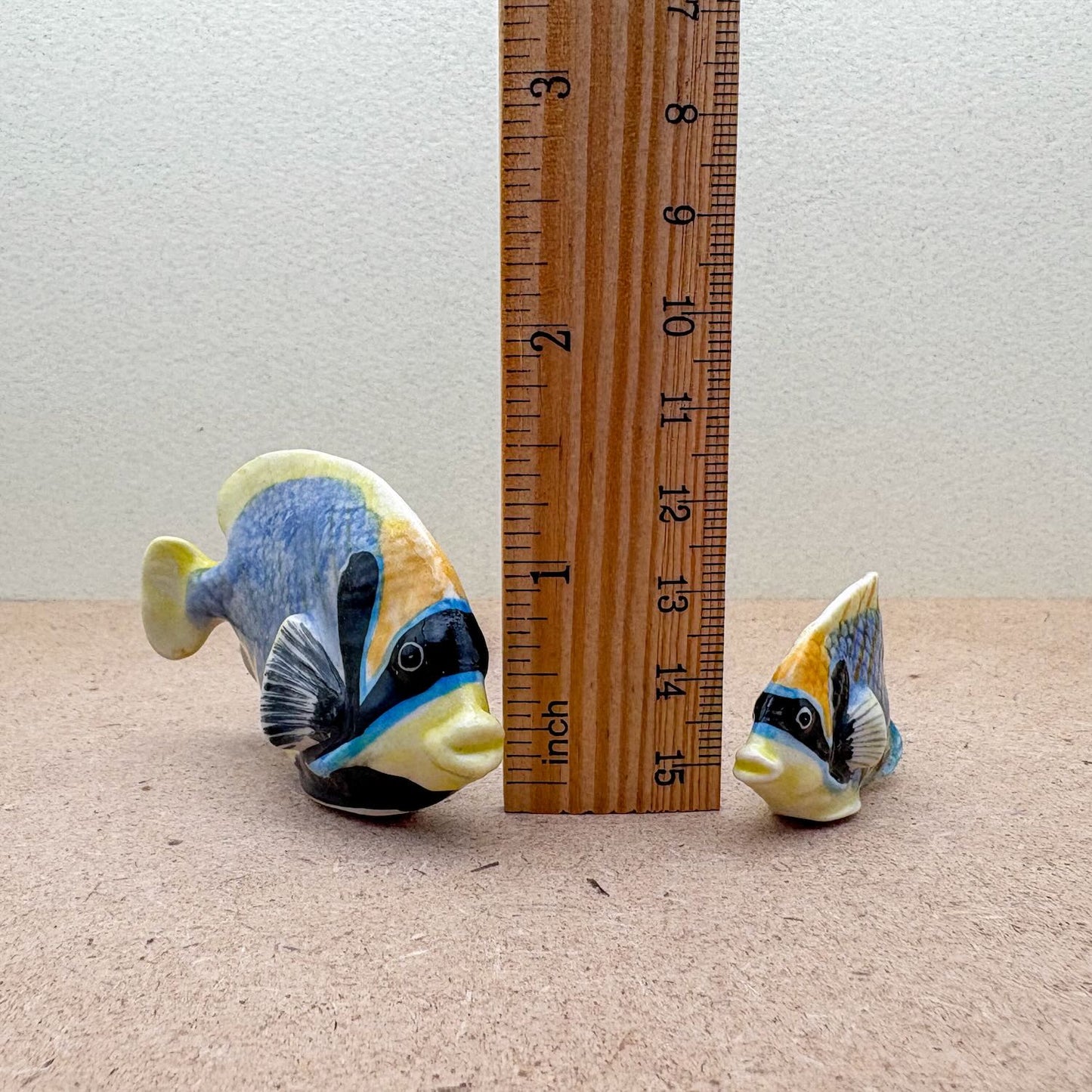 Tropical Reef Fish Set