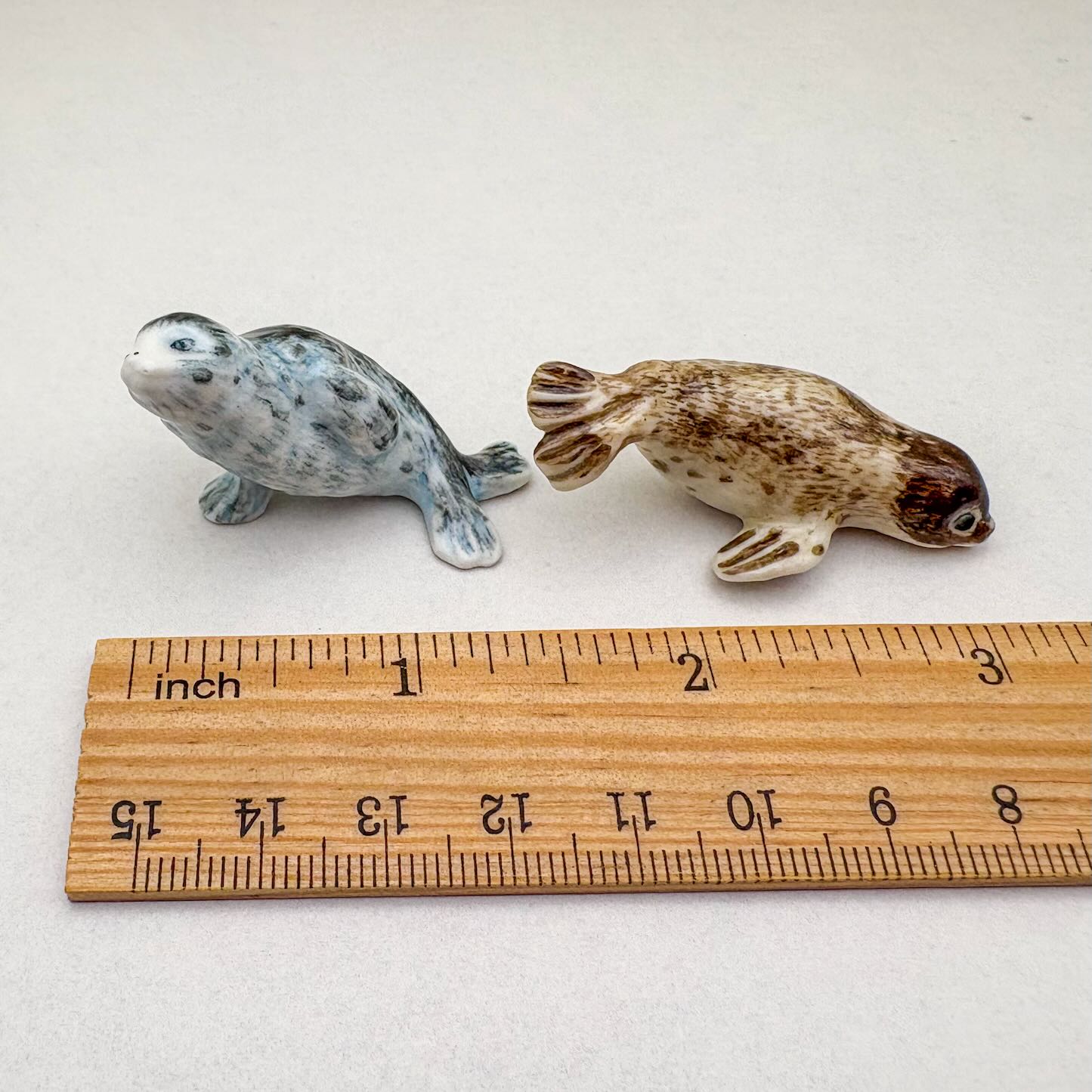 2 Seal Sea Lion