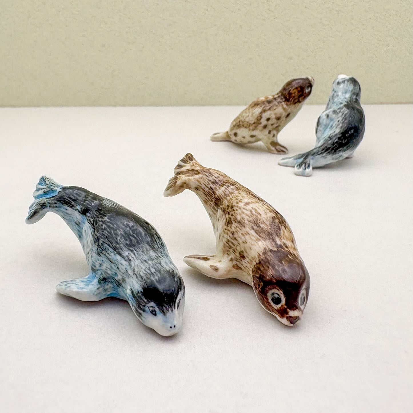 2 Seal Sea Lion