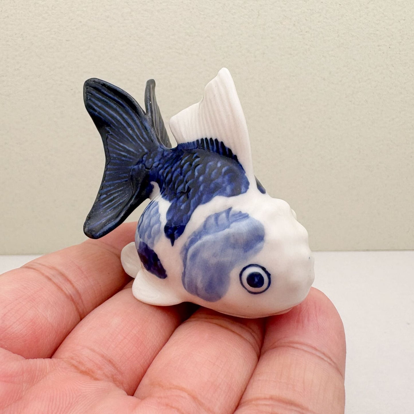 Blue & White Oranda Goldfish