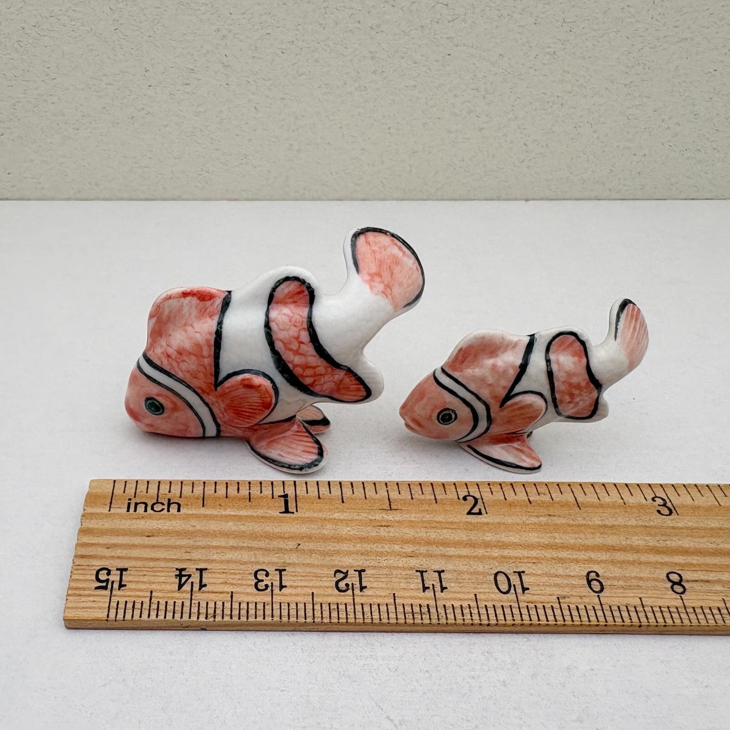 Tropical Clownfish Duo