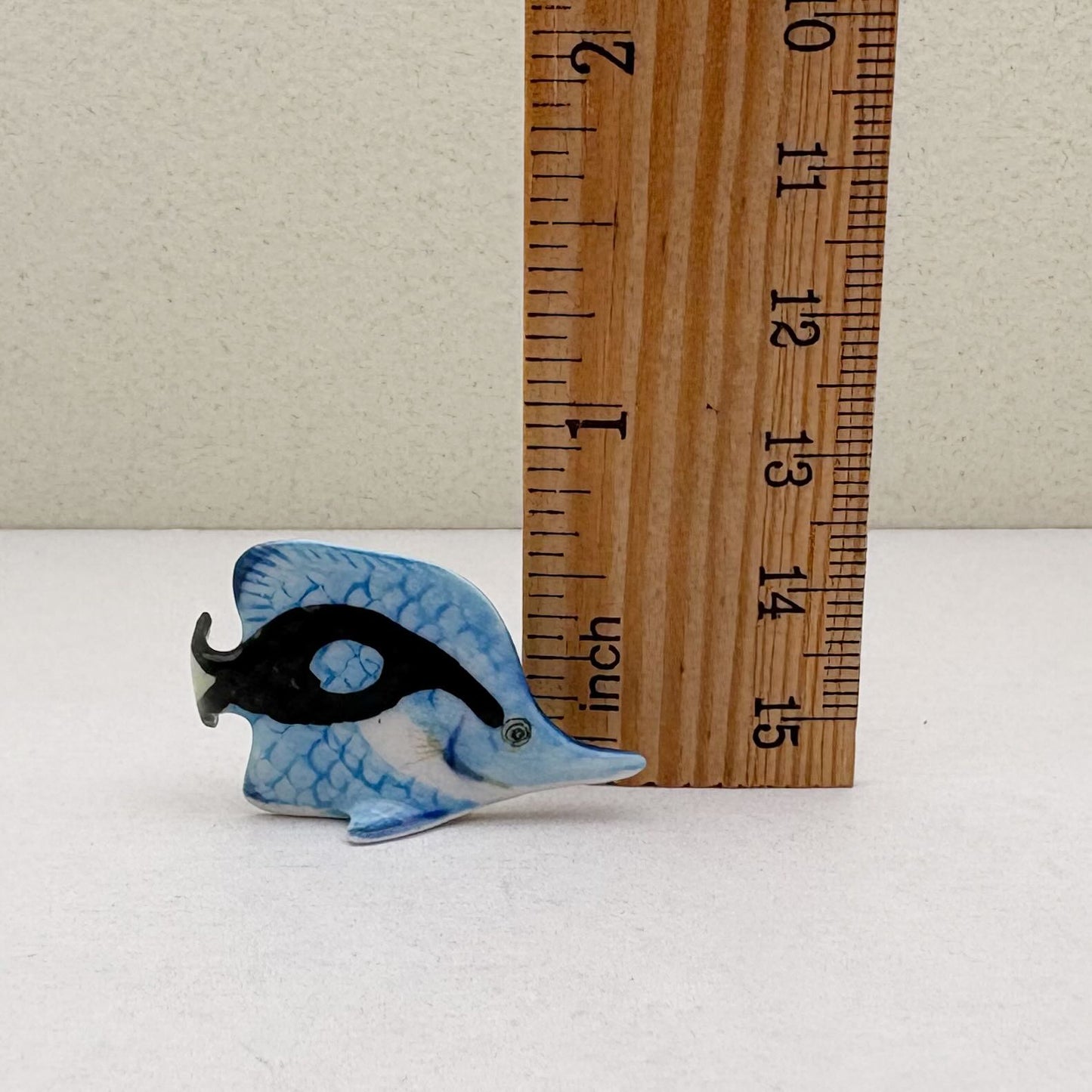 Set of 6 Baby Butterflyfish