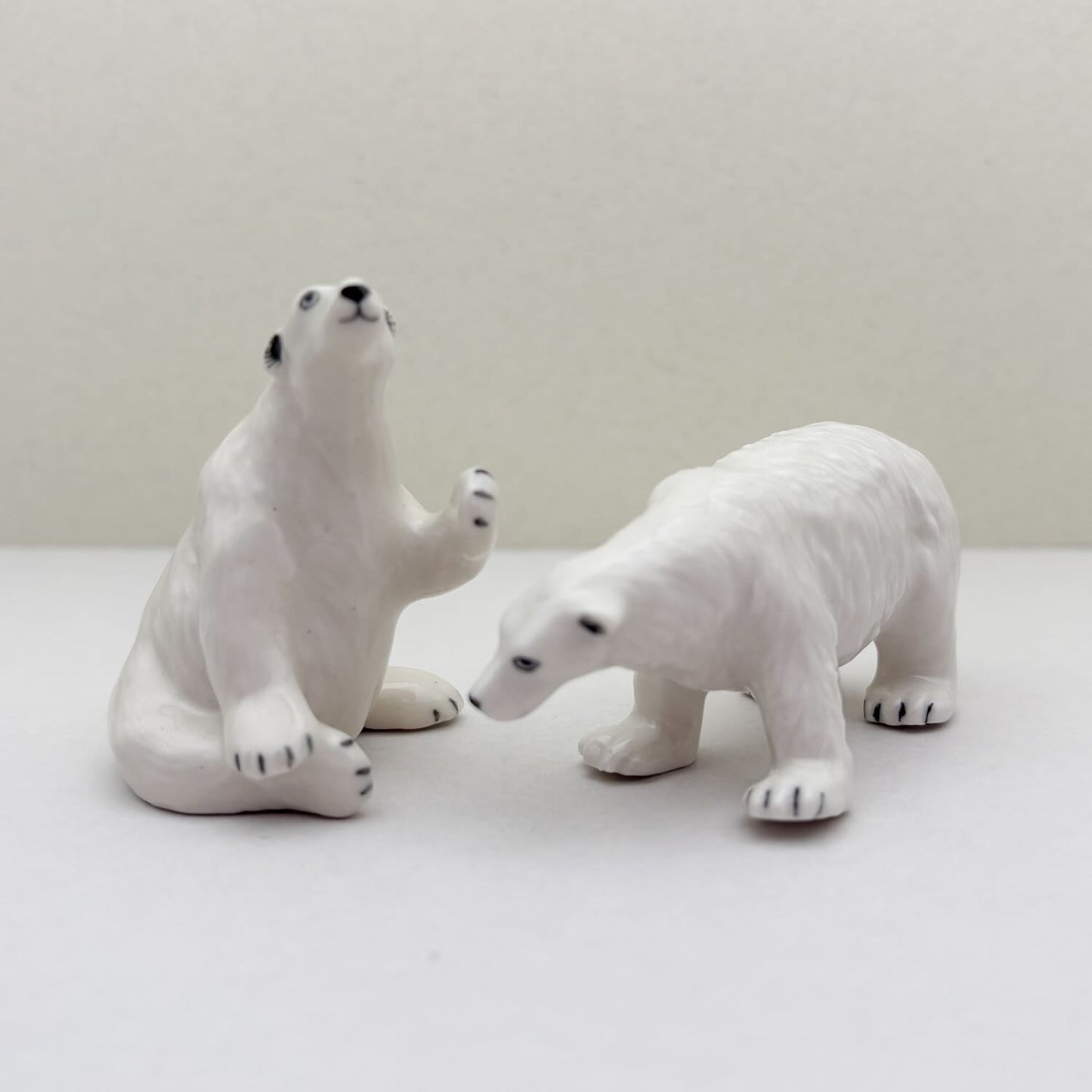 Arctic Companions