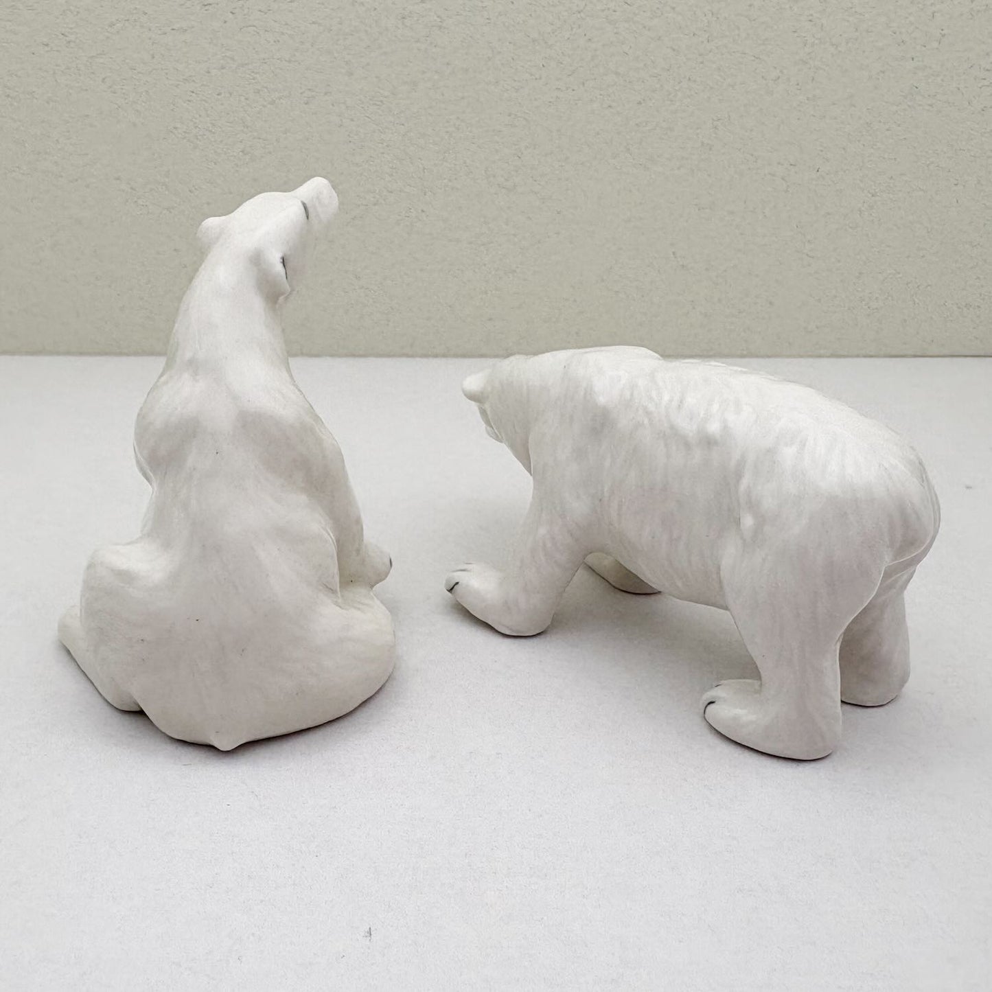 Arctic Companions