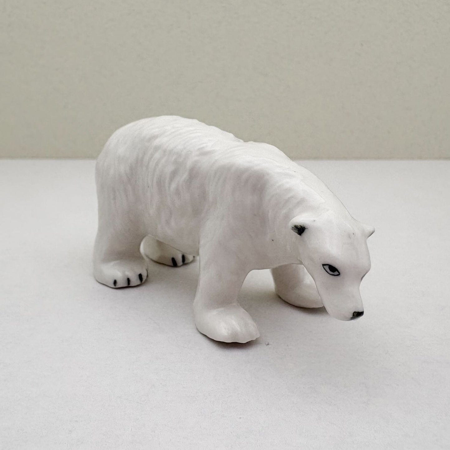 Arctic Companions