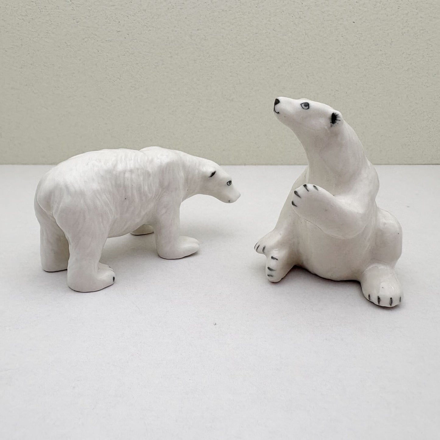 Arctic Companions