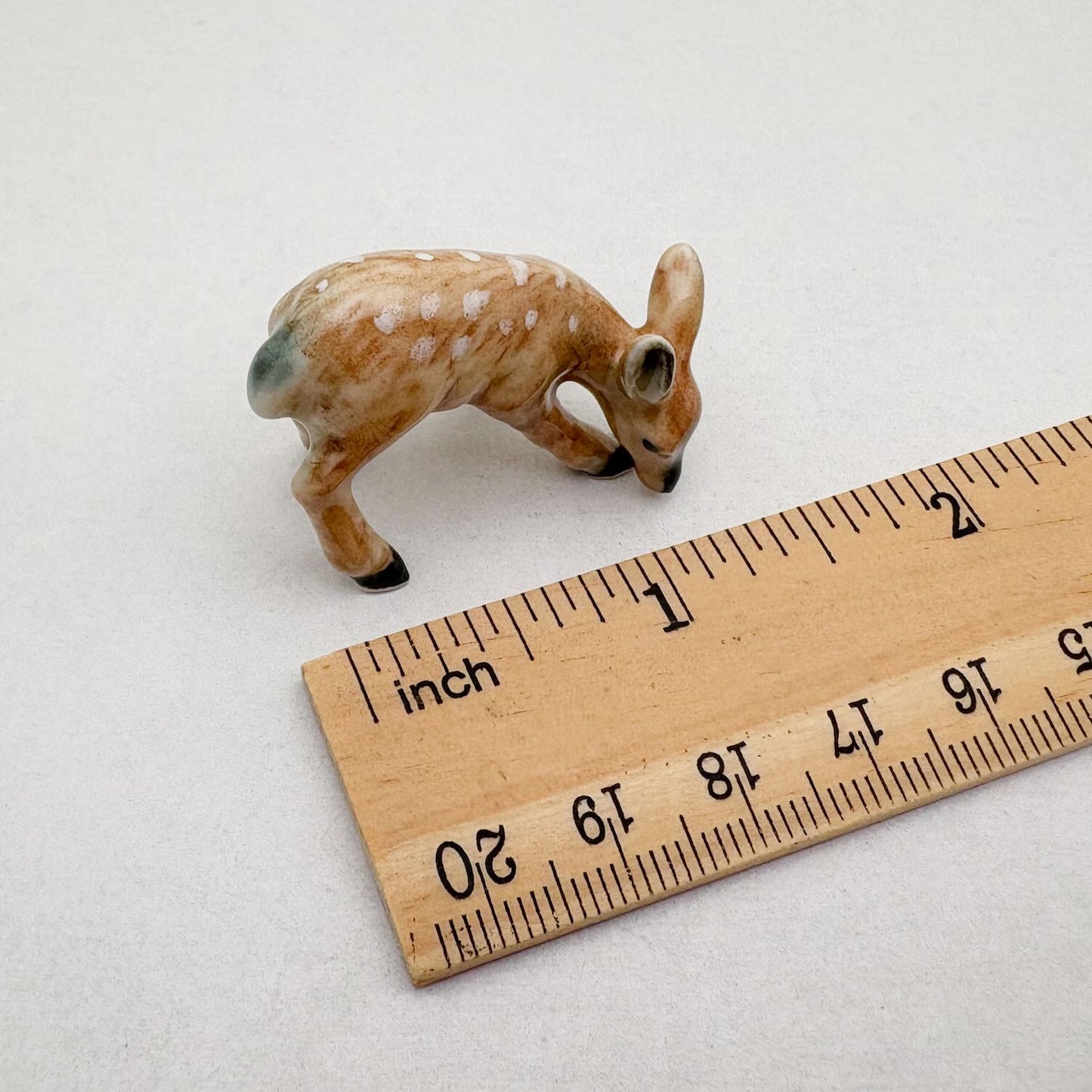 Woodland Whimsy