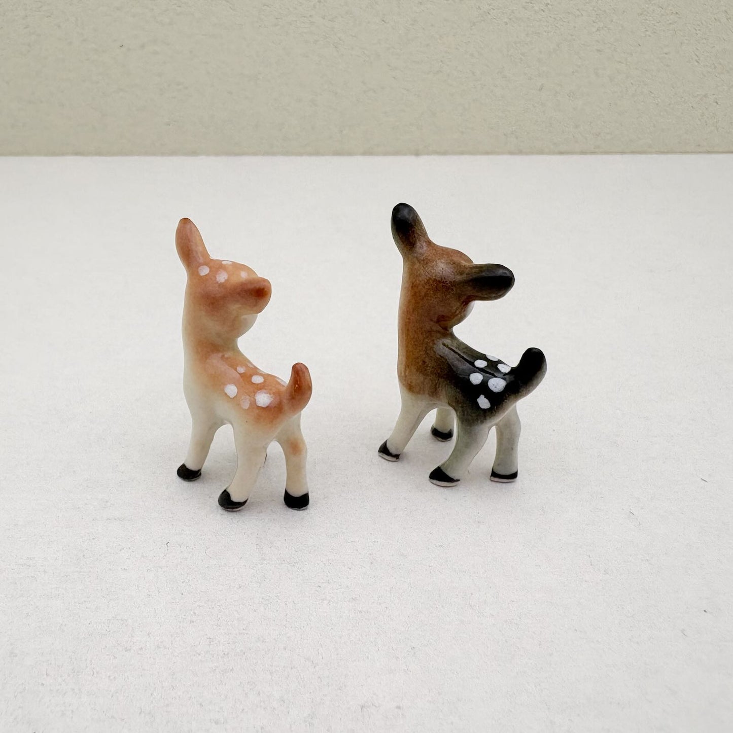 Tiny Fawn