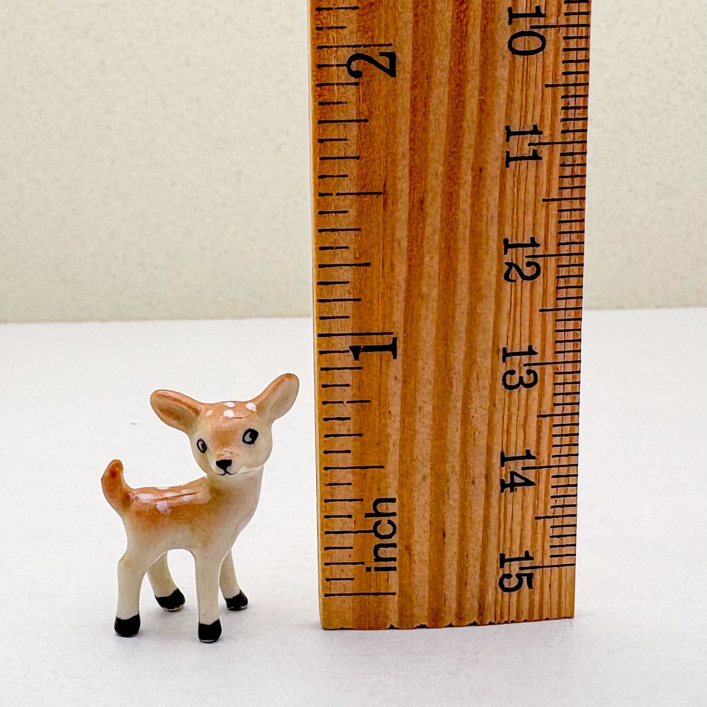 Tiny Fawn