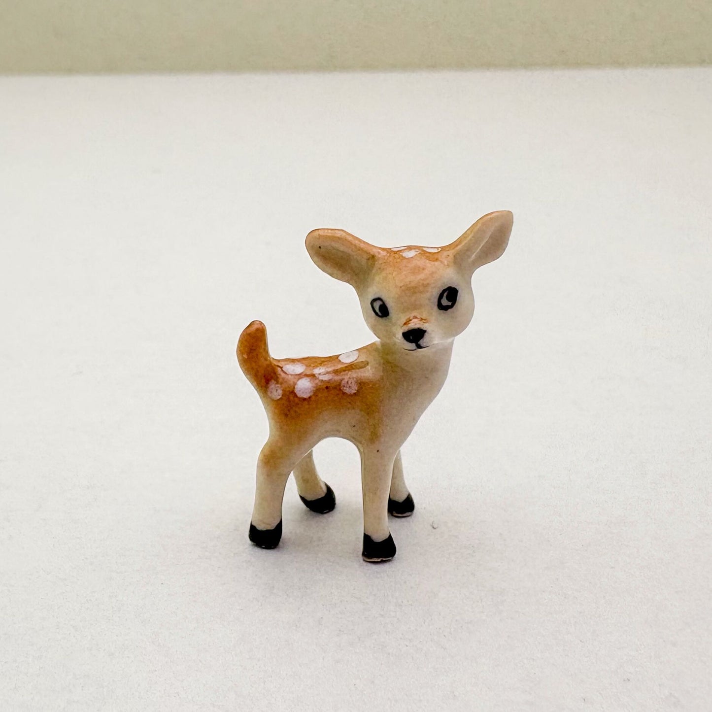 Tiny Fawn