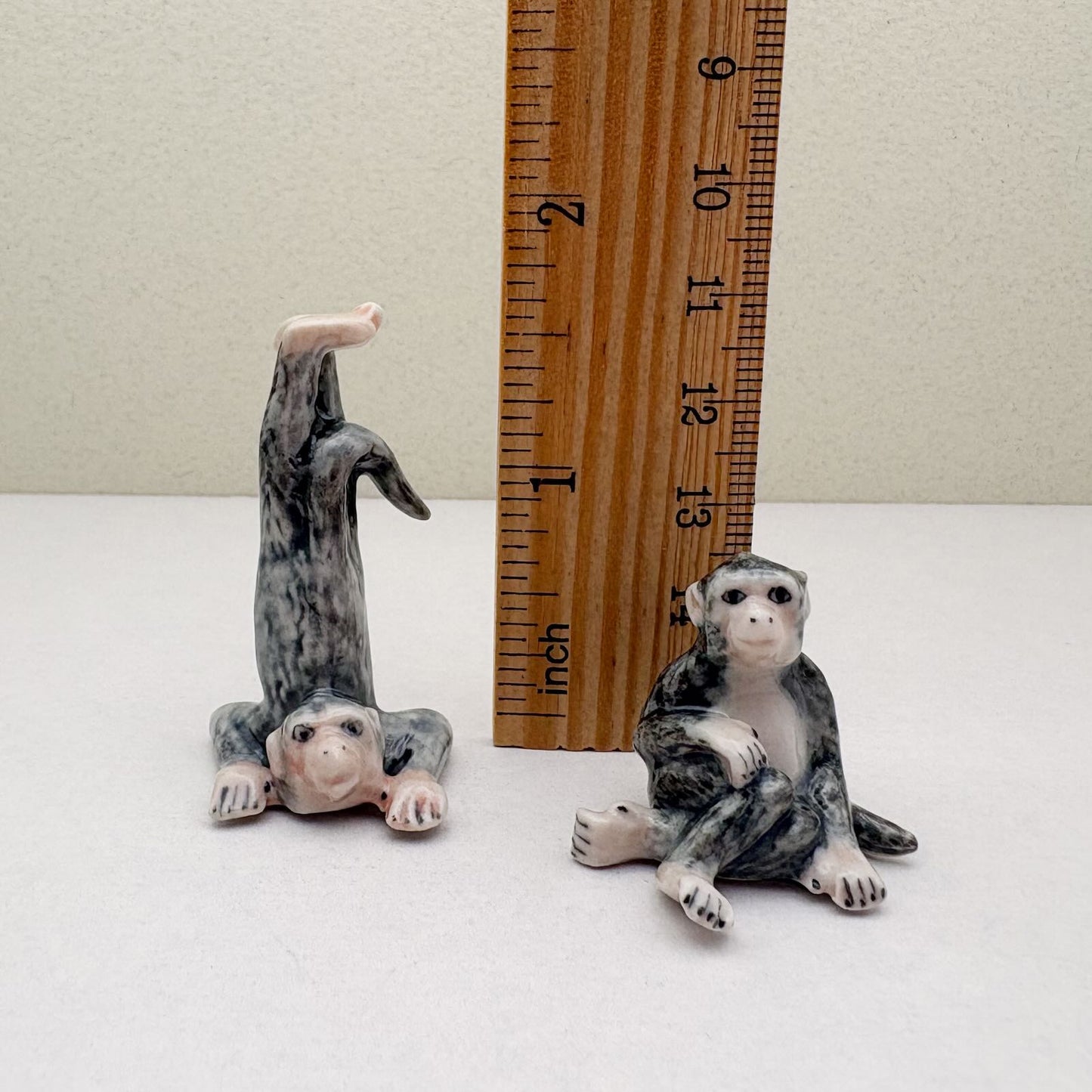 Mischief & Musing: The Monkey Chorus