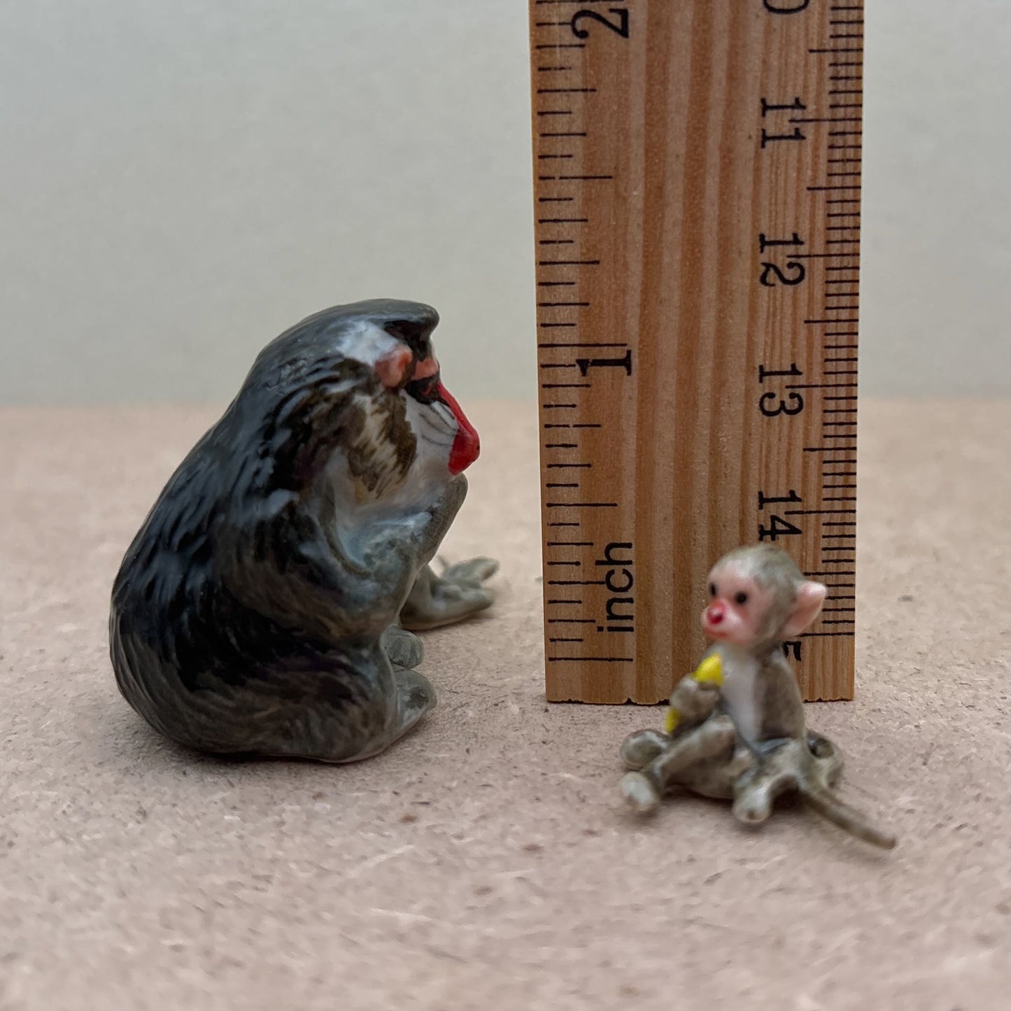 Baboon Monkey