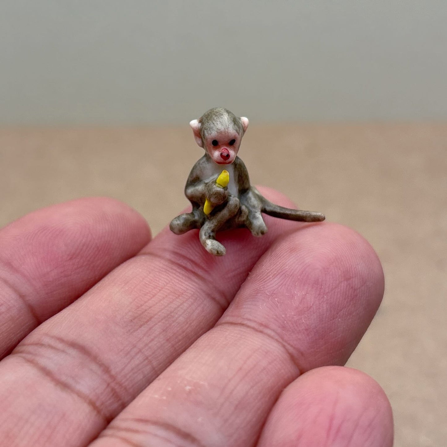 Baboon Monkey