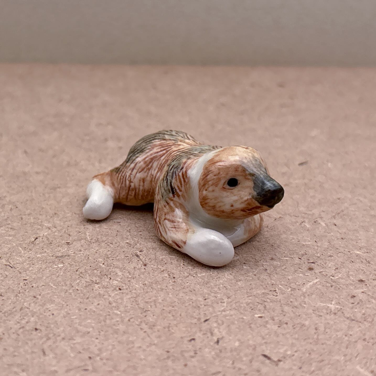 Baby Sloth