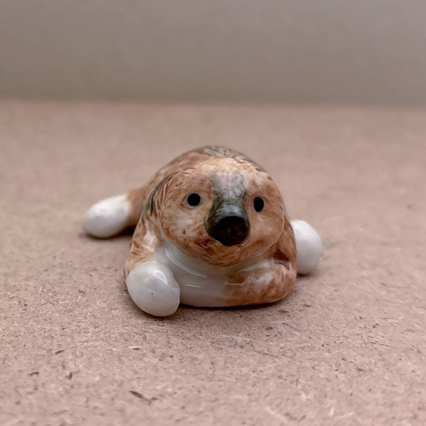 Baby Sloth