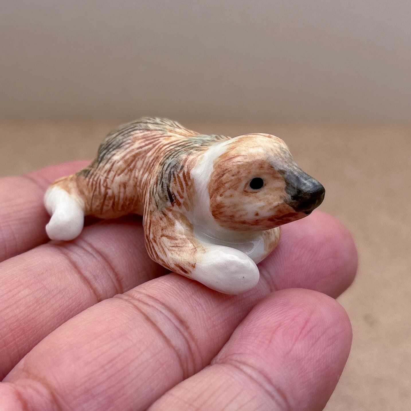 Baby Sloth
