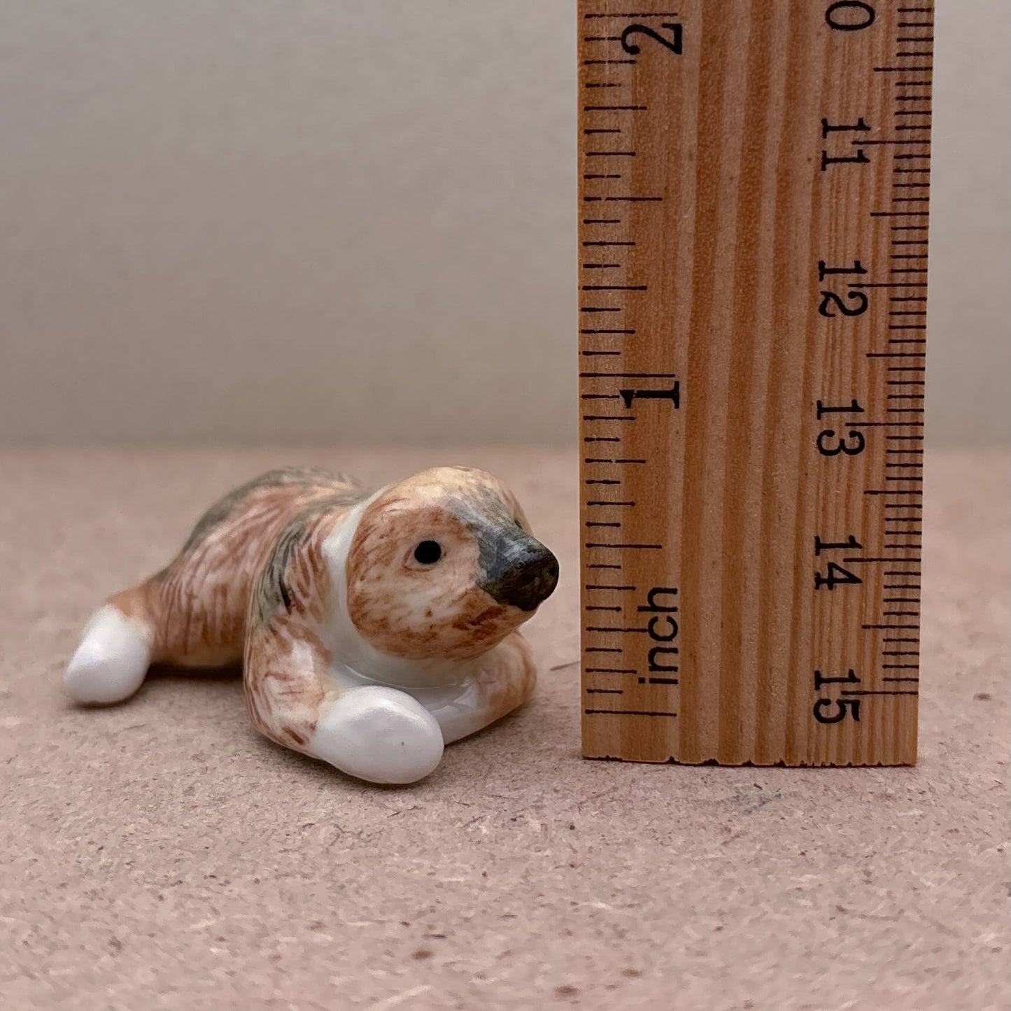 Baby Sloth