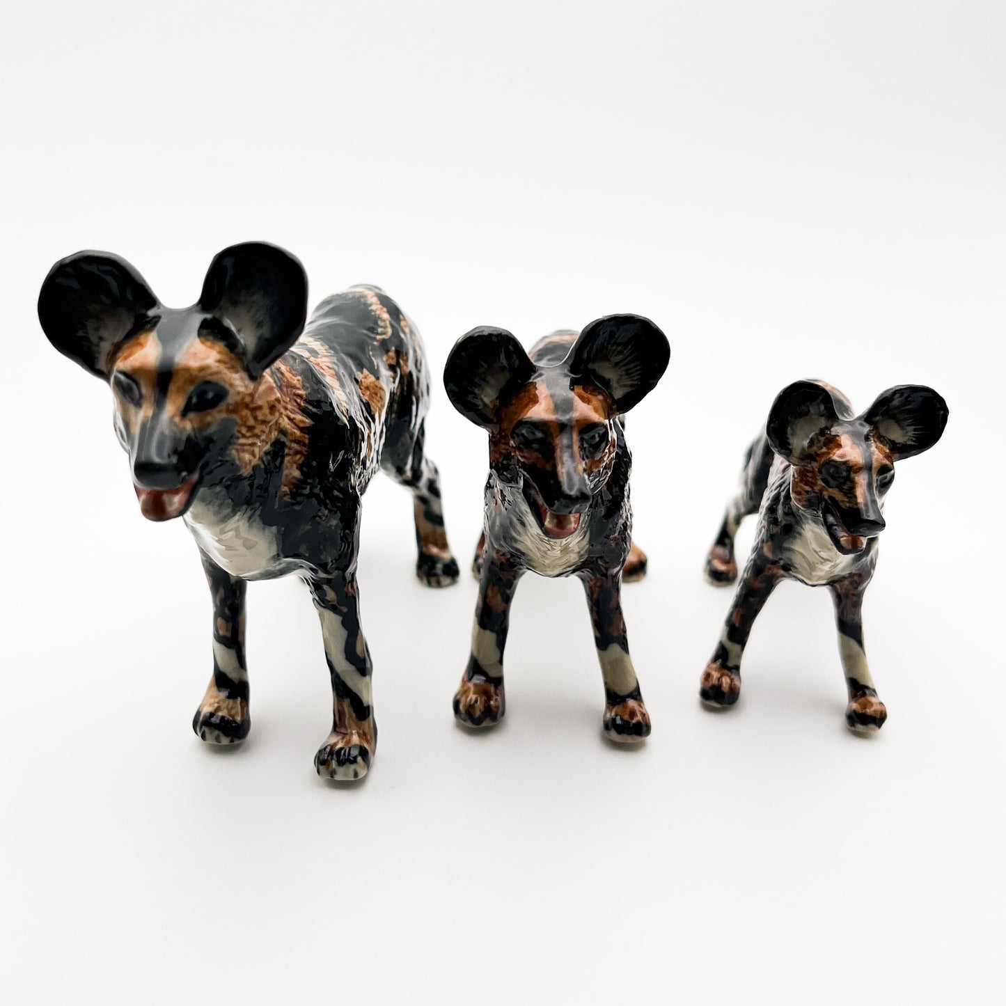 African Wild Dog Lycaon Pictus