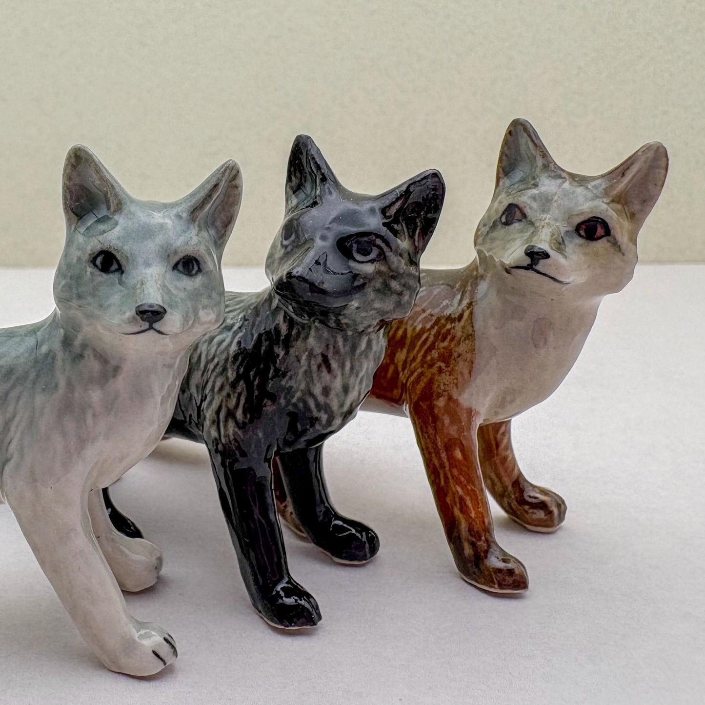 Fox Duo