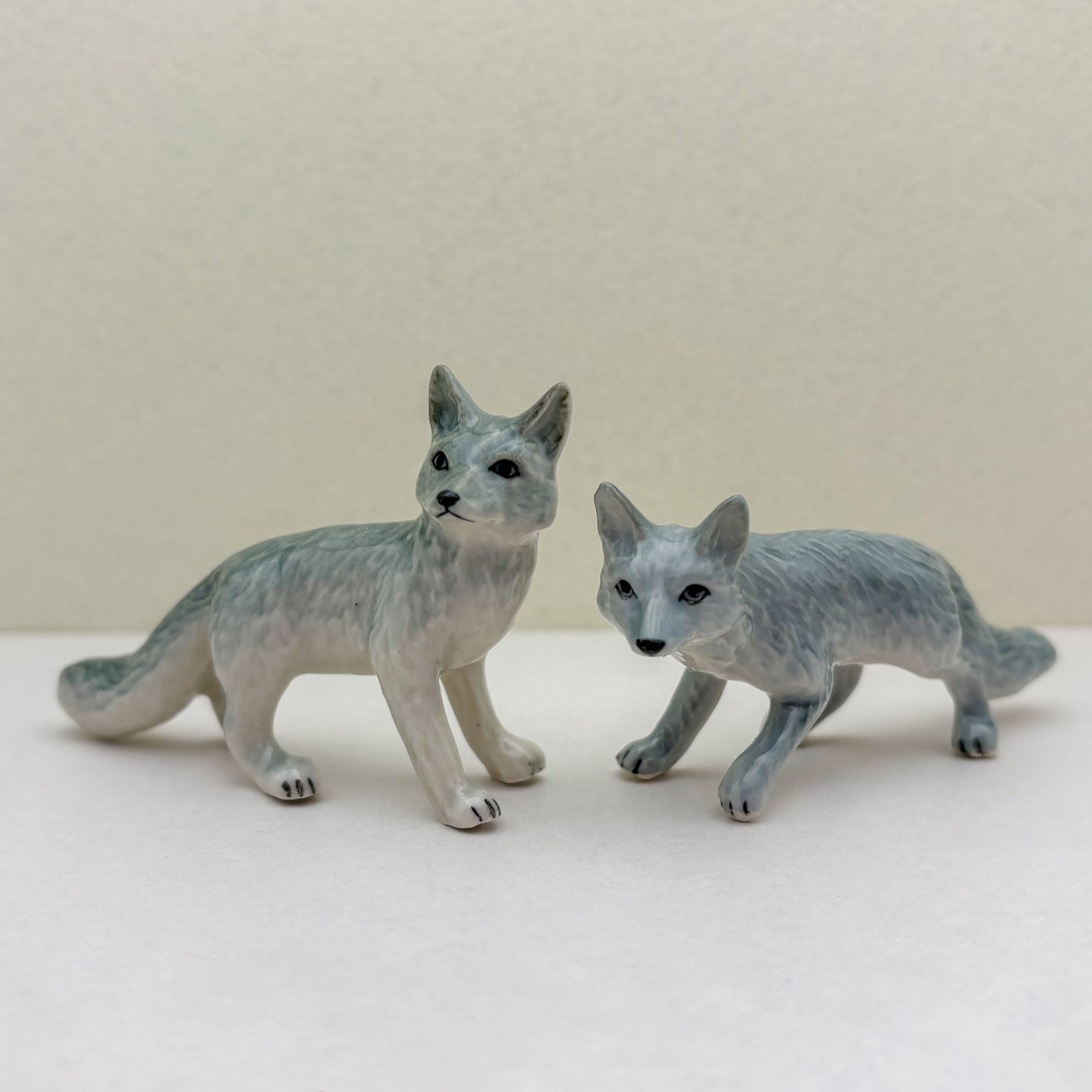 Fox Duo
